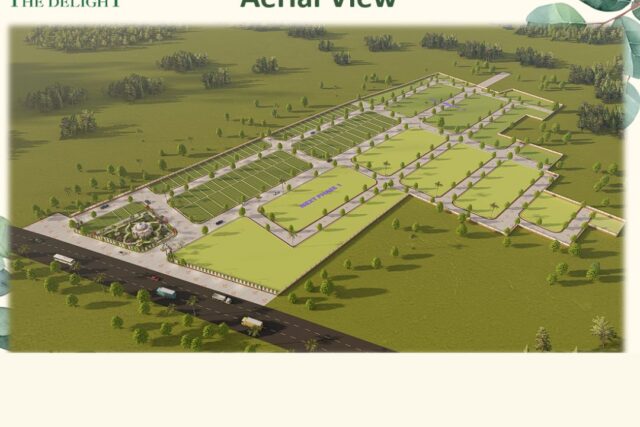 The Delight / Riyasat Delight